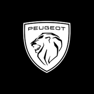 peugeot-spectacle-magie-steven-alsace